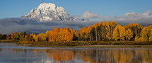 Oxbow Bend, Jackson Hole, WY